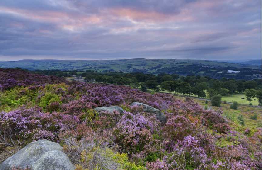 Mid Yorkshire Chamber