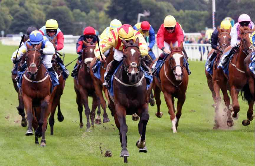 British Horse Racing Authority